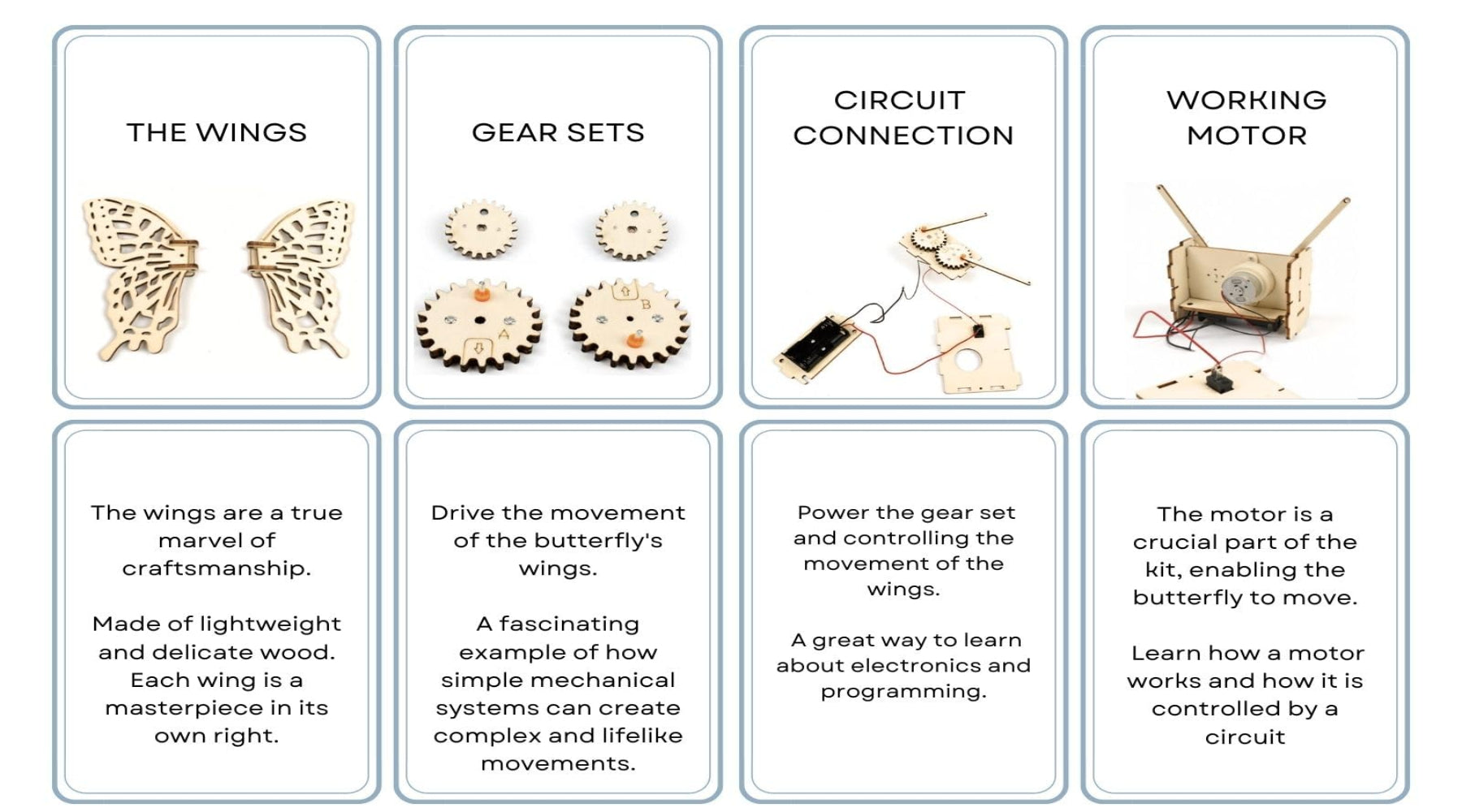 Electric Flying Butterfly 🦋⚡